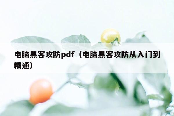 电脑黑客攻防pdf（电脑黑客攻防从入门到精通）