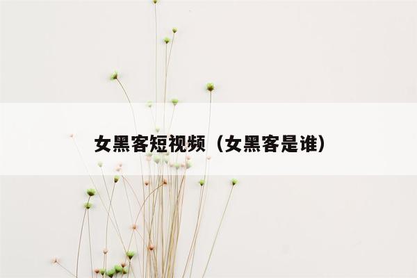 女黑客短视频（女黑客是谁）