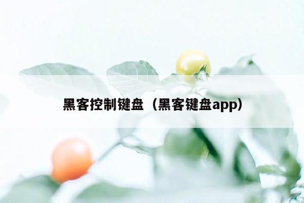 黑客控制键盘（黑客键盘app）