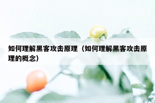 如何理解黑客攻击原理（如何理解黑客攻击原理的概念）