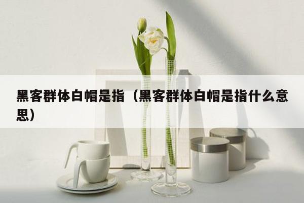 黑客群体白帽是指（黑客群体白帽是指什么意思）