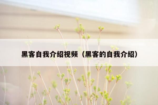 黑客自我介绍视频（黑客的自我介绍）