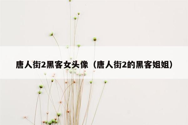 唐人街2黑客女头像（唐人街2的黑客姐姐）