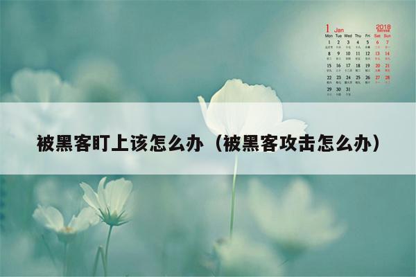 被黑客盯上该怎么办（被黑客攻击怎么办）