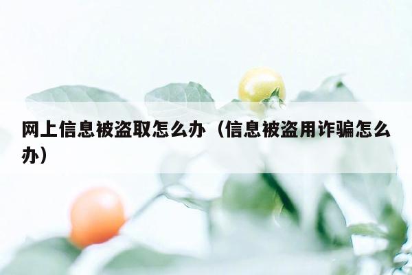 网上信息被盗取怎么办（信息被盗用诈骗怎么办）