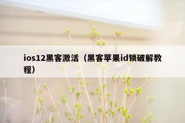 ios12黑客激活（黑客苹果id锁破解教程）