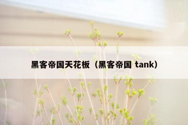 黑客帝国天花板（黑客帝国 tank）