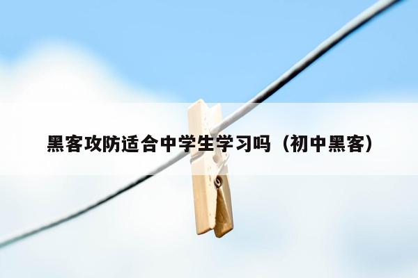 黑客攻防适合中学生学习吗（初中黑客）