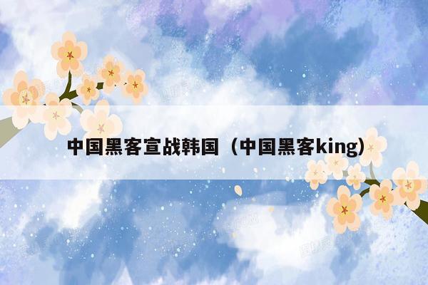 中国黑客宣战韩国（中国黑客king）