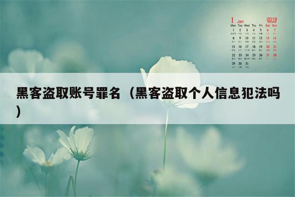 黑客盗取账号罪名（黑客盗取个人信息犯法吗）