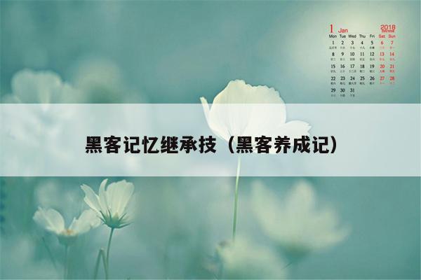 黑客记忆继承技（黑客养成记）