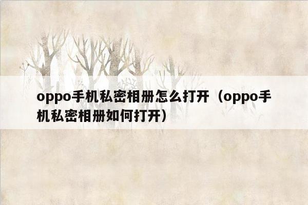 oppo手机私密相册怎么打开（oppo手机私密相册如何打开）