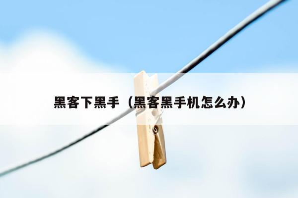 黑客下黑手（黑客黑手机怎么办）