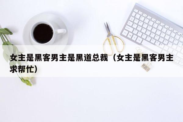 女主是黑客男主是黑道总裁（女主是黑客男主求帮忙）