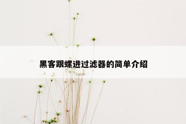 黑客跟螺进过滤器的简单介绍