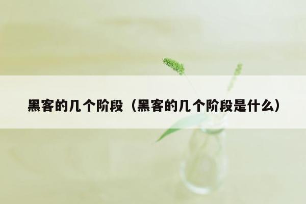 黑客的几个阶段（黑客的几个阶段是什么）