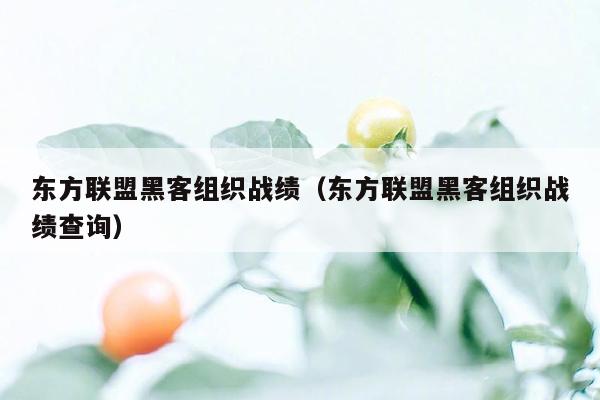 东方联盟黑客组织战绩（东方联盟黑客组织战绩查询）