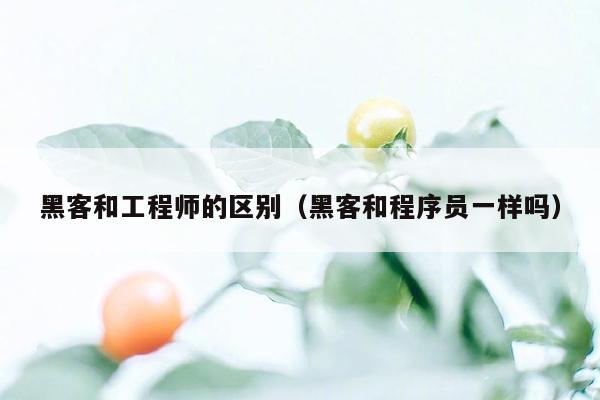 黑客和工程师的区别（黑客和程序员一样吗）