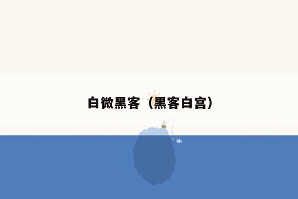 白微黑客（黑客白宫）