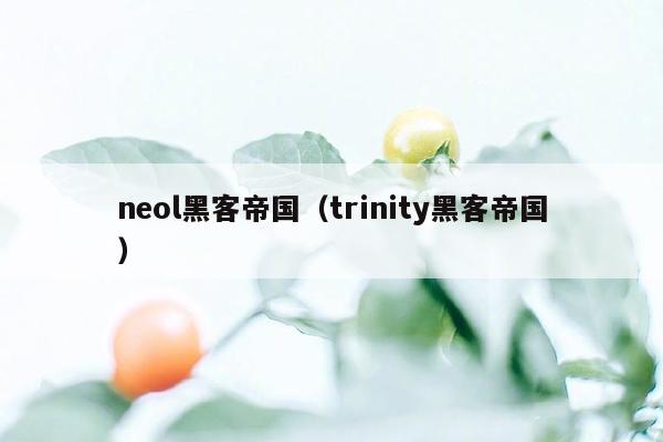 neol黑客帝国（trinity黑客帝国）