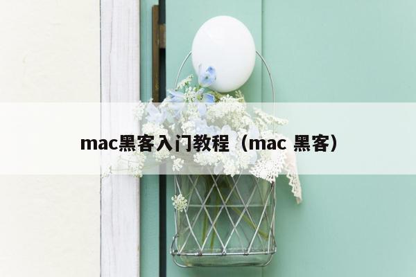 mac黑客入门教程（mac 黑客）
