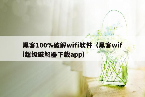 黑客100%破解wifi软件（黑客wifi超级破解器下载app）