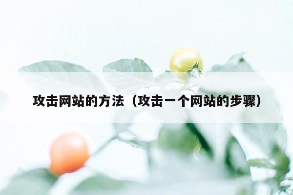 攻击网站的方法（攻击一个网站的步骤）