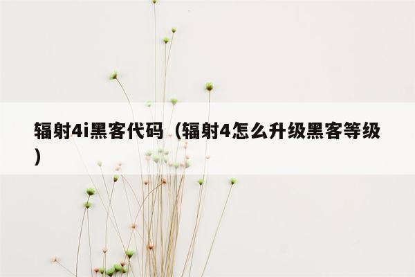 辐射4i黑客代码（辐射4怎么升级黑客等级）