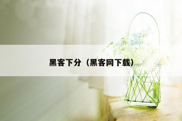 黑客下分（黑客网下载）