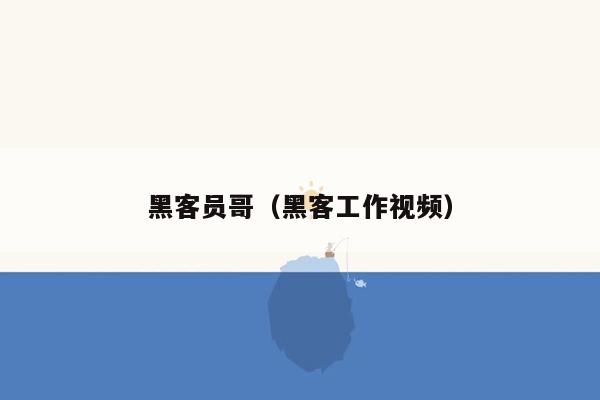 黑客员哥（黑客工作视频）