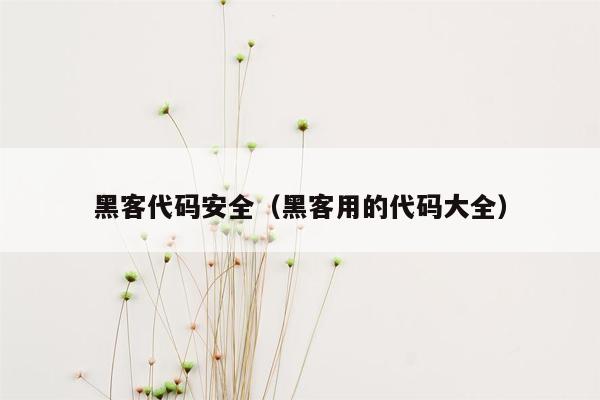 黑客代码安全（黑客用的代码大全）