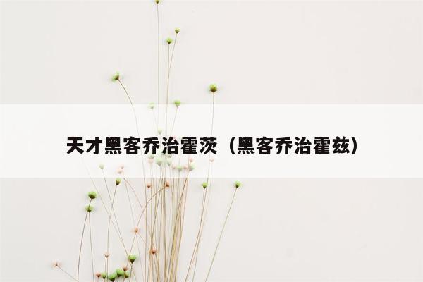 天才黑客乔治霍茨（黑客乔治霍兹）