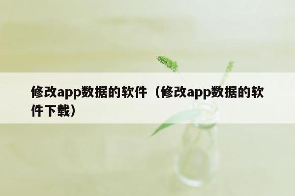 修改app数据的软件（修改app数据的软件下载）