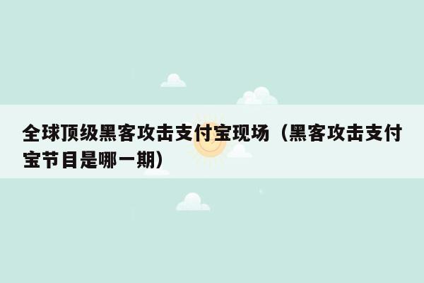 全球顶级黑客攻击支付宝现场（黑客攻击支付宝节目是哪一期）