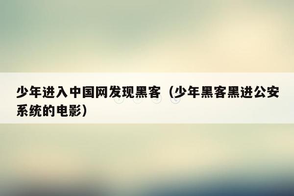 少年进入中国网发现黑客（少年黑客黑进公安系统的电影）