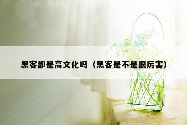 黑客都是高文化吗（黑客是不是很厉害）