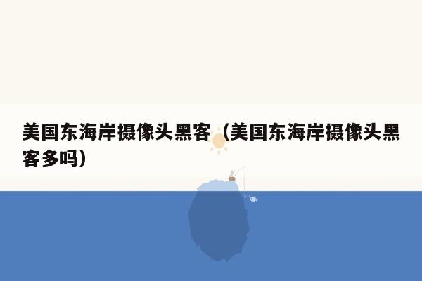 美国东海岸摄像头黑客（美国东海岸摄像头黑客多吗）