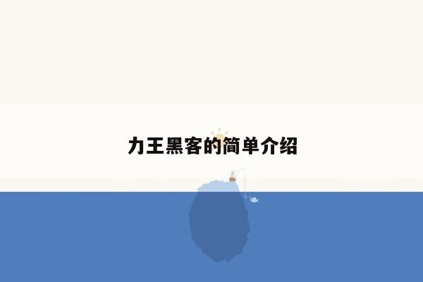 力王黑客的简单介绍