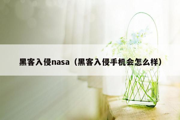 黑客入侵nasa（黑客入侵手机会怎么样）