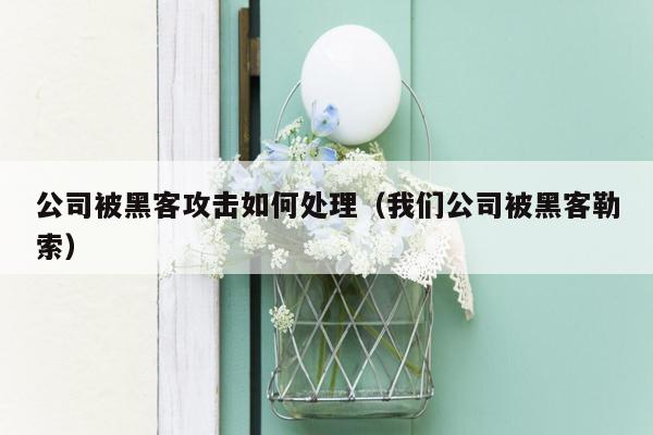 公司被黑客攻击如何处理（我们公司被黑客勒索）