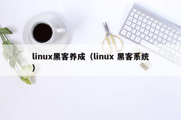 linux黑客养成（linux 黑客系统）