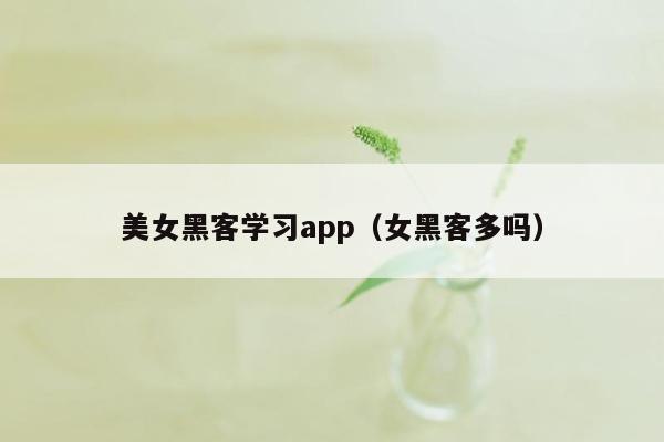 美女黑客学习app（女黑客多吗）