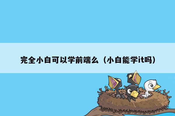 完全小白可以学前端么（小白能学it吗）