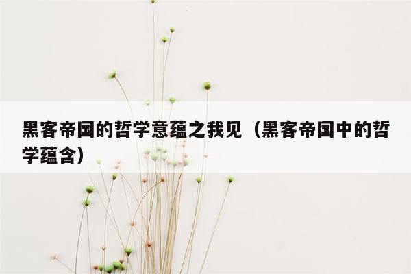 黑客帝国的哲学意蕴之我见（黑客帝国中的哲学蕴含）