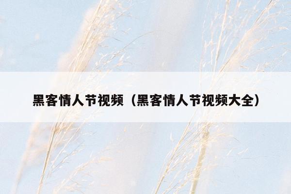 黑客情人节视频（黑客情人节视频大全）