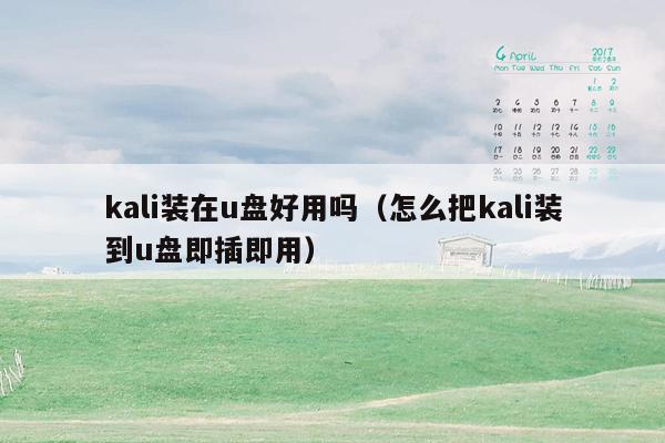 kali装在u盘好用吗（怎么把kali装到u盘即插即用）