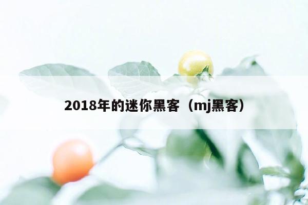 2018年的迷你黑客（mj黑客）