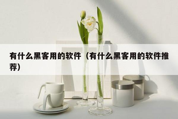 有什么黑客用的软件（有什么黑客用的软件推荐）