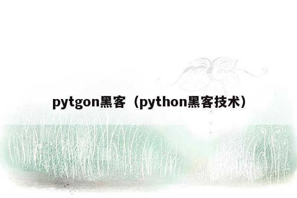 pytgon黑客（python黑客技术）