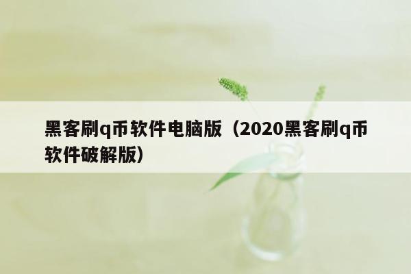 黑客刷q币软件电脑版（2020黑客刷q币软件破解版）